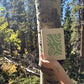 The Lost & Found Journal in Willow